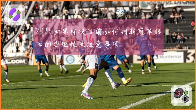 2026世界杯投注前如何判断冠军赔率的合理性及注意事项