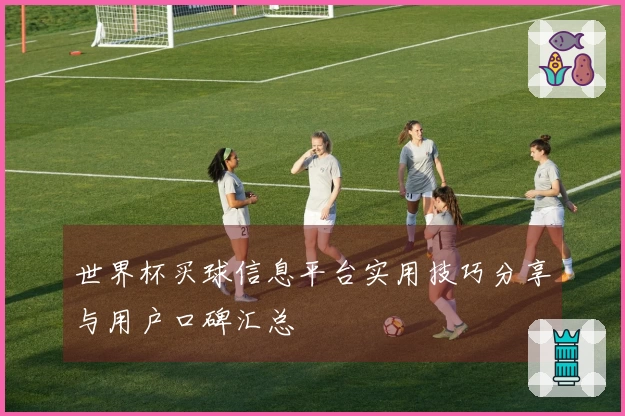 世界杯买球信息平台实用技巧分享与用户口碑汇总