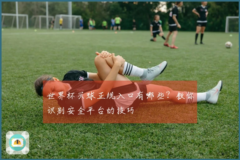 世界杯买球正规入口有哪些？教你识别安全平台的技巧