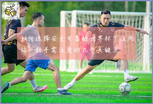 如何选择安全可靠的世界杯下注网站？新手需注意的几个关键点