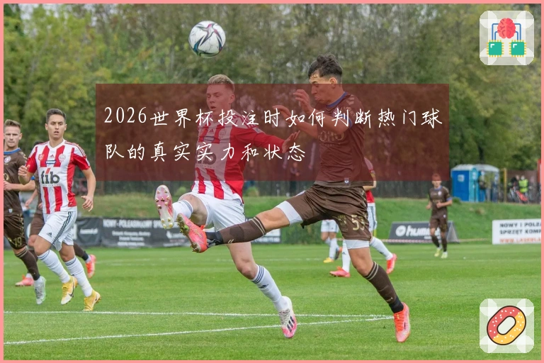 2026世界杯投注时如何判断热门球队的真实实力和状态