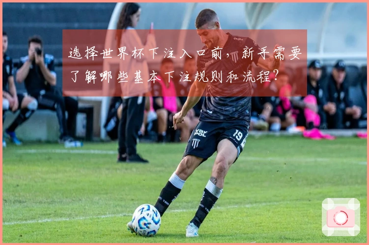 选择世界杯下注入口前，新手需要了解哪些基本下注规则和流程？
