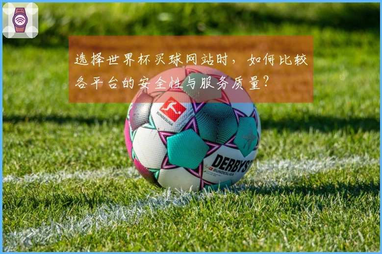 选择世界杯买球网站时，如何比较各平台的安全性与服务质量？