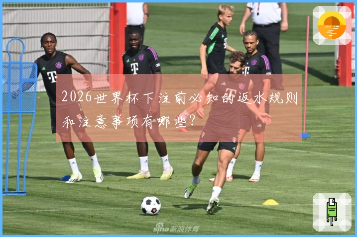 2026世界杯下注前必知的返水规则和注意事项有哪些？