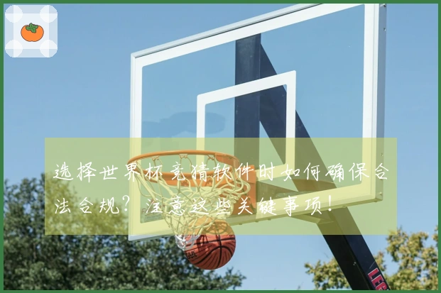 选择世界杯竞猜软件时如何确保合法合规？注意这些关键事项！
