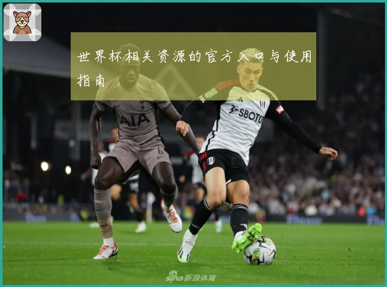 世界杯相关资源的官方入口与使用指南