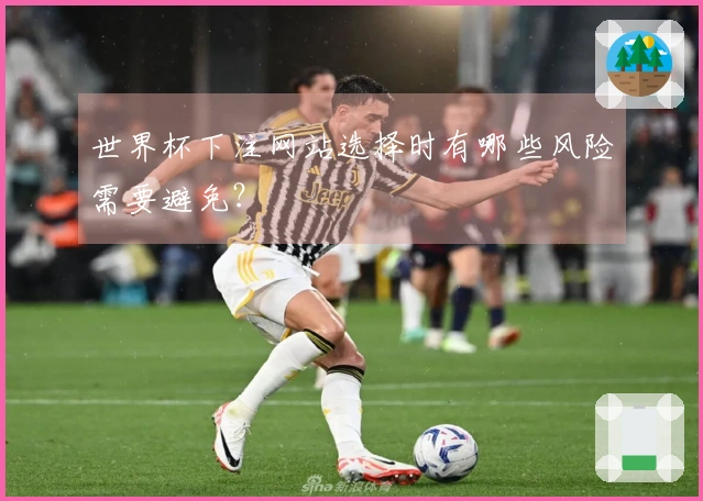 世界杯下注网站选择时有哪些风险需要避免？