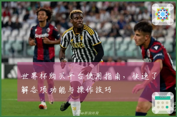 世界杯购买平台使用指南，快速了解各项功能与操作技巧