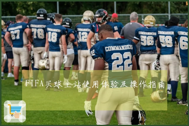 FIFA买球主站使用体验及操作指南