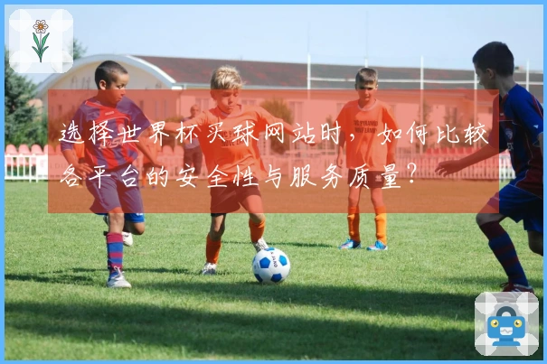 选择世界杯买球网站时,如何比较各平台的安全性与服务质量?