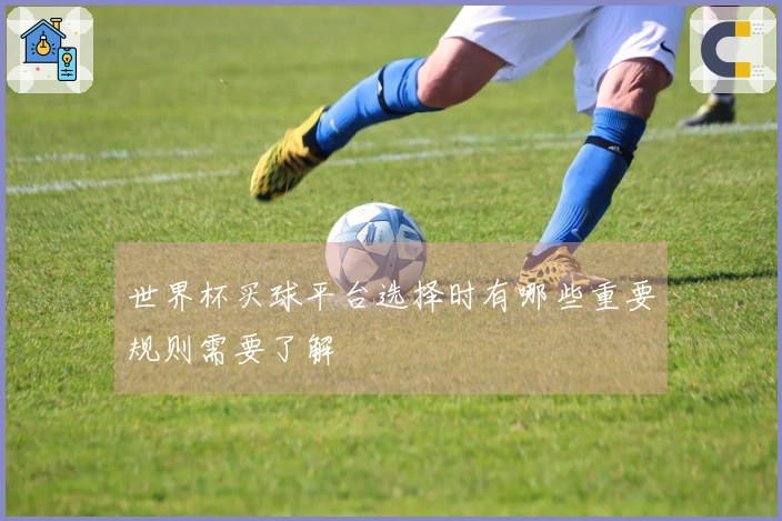 世界杯买球平台选择时有哪些重要规则需要了解