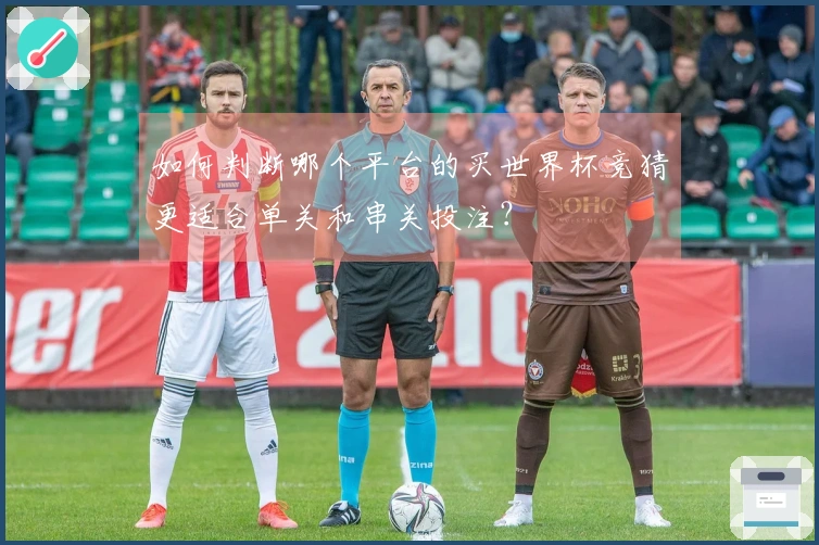 如何判断哪个平台的买世界杯竞猜更适合单关和串关投注？