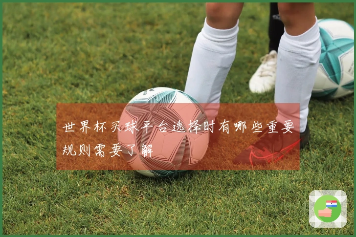 世界杯买球平台选择时有哪些重要规则需要了解