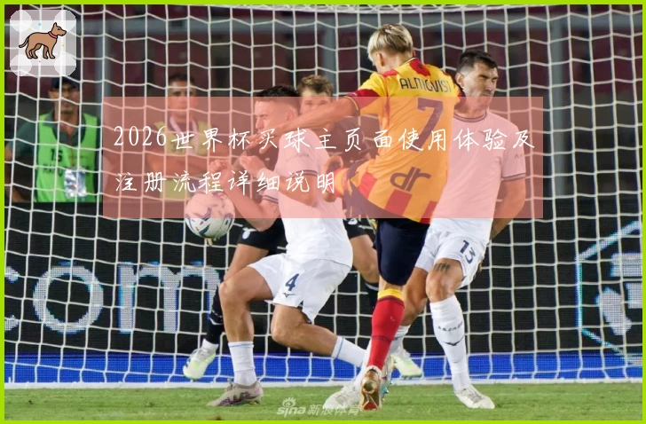 2026世界杯买球主页面使用体验及注册流程详细说明