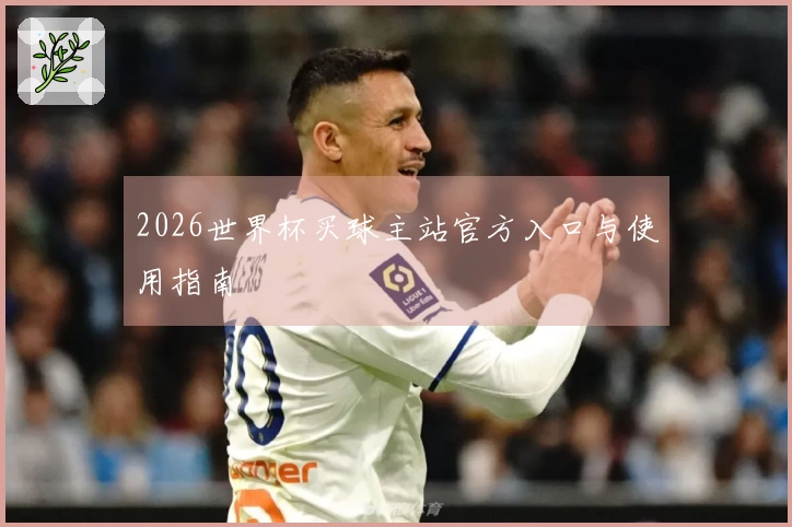2026世界杯买球主站官方入口与使用指南