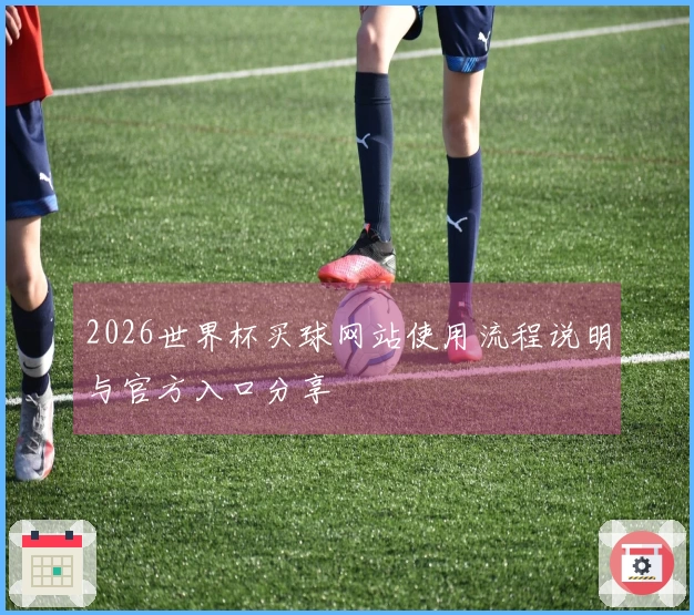 2026世界杯买球网站使用流程说明与官方入口分享