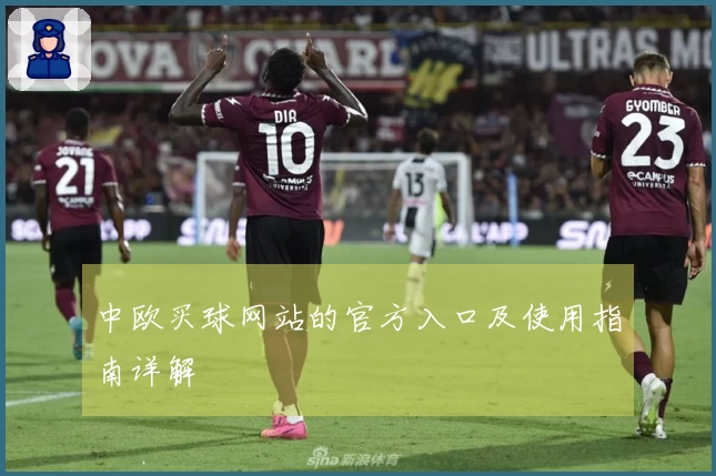 中欧买球网站的官方入口及使用指南详解