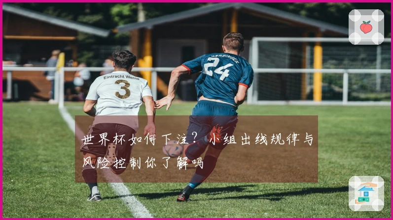 世界杯如何下注？小组出线规律与风险控制你了解吗
