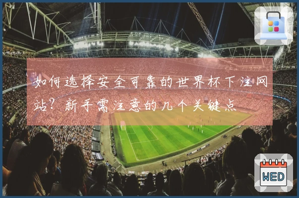 如何选择安全可靠的世界杯下注网站？新手需注意的几个关键点