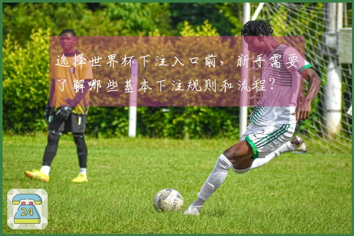 选择世界杯下注入口前,新手需要了解哪些基本下注规则和流程?
