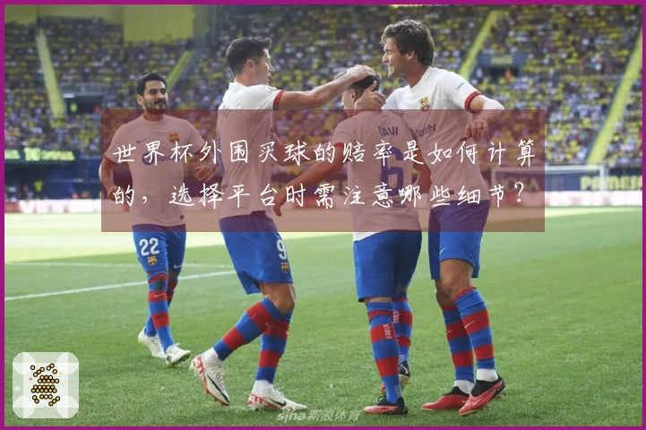 世界杯外围买球的赔率是如何计算的,选择平台时需注意哪些细节?