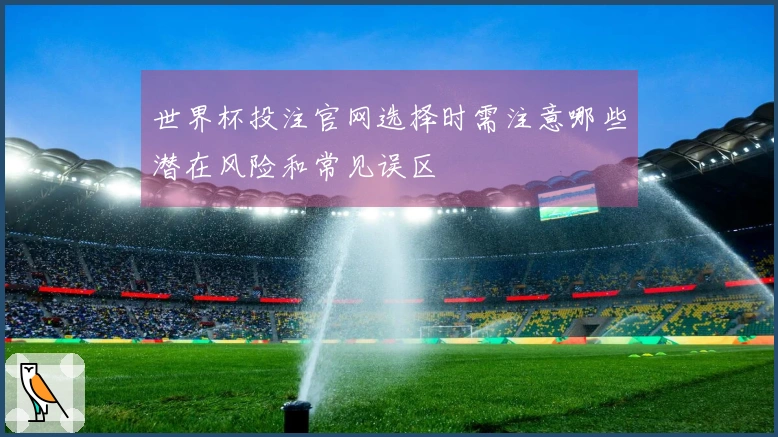 世界杯投注官网选择时需注意哪些潜在风险和常见误区
