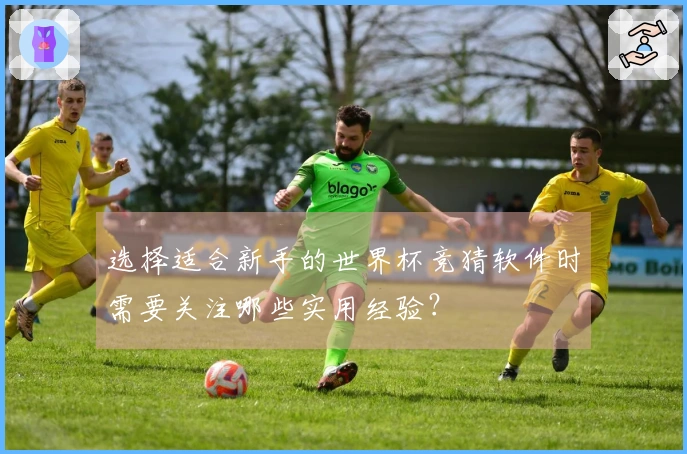 选择适合新手的世界杯竞猜软件时需要关注哪些实用经验？