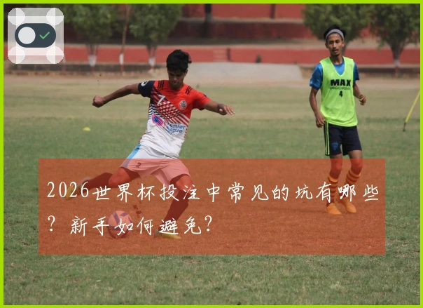 2026世界杯投注中常见的坑有哪些？新手如何避免？